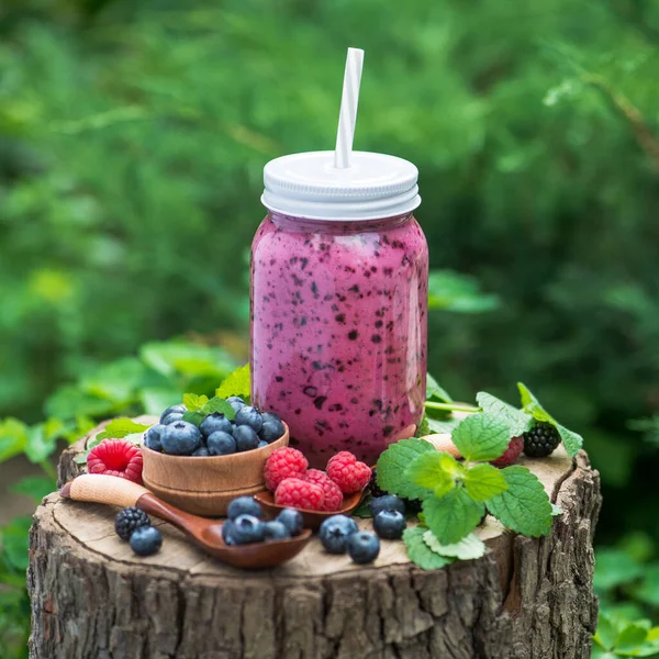 Garrafa Caseira Com Mirtilo Framboesa Smoothie Groselha Espinhosa Baga Toco — Fotografia de Stock