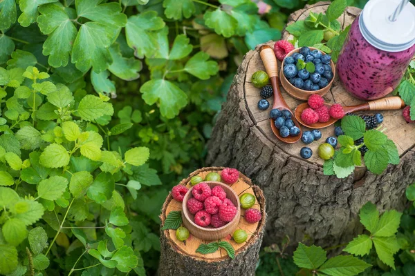 Böğürtlen, ahududu, üzümlü meyve suyu ve böğürtlenli yeşil bir bahçede ev yapımı bir şişe. Doğal ve tatlı tatlı detoks organik içecek..