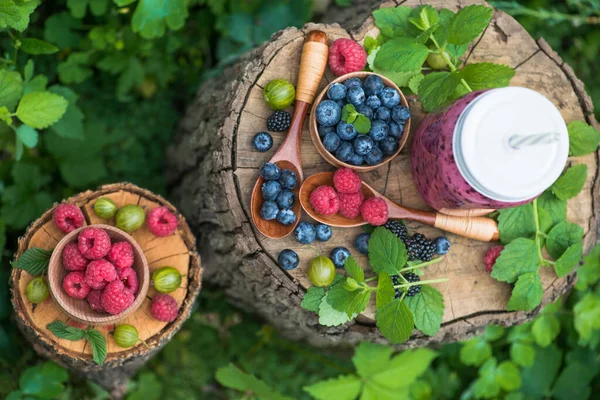 Böğürtlen, ahududu, üzümlü meyve suyu ve böğürtlenli yeşil bir bahçede ev yapımı bir şişe. Doğal ve tatlı tatlı detoks organik içecek..