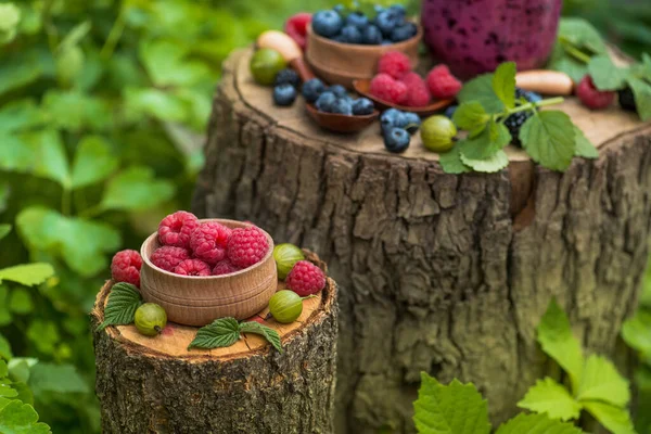 Bahçedeki bir kütükte böğürtlen ve ahududu. Yeşil arka planda tatlı vitamin ve yaz meyvesi.