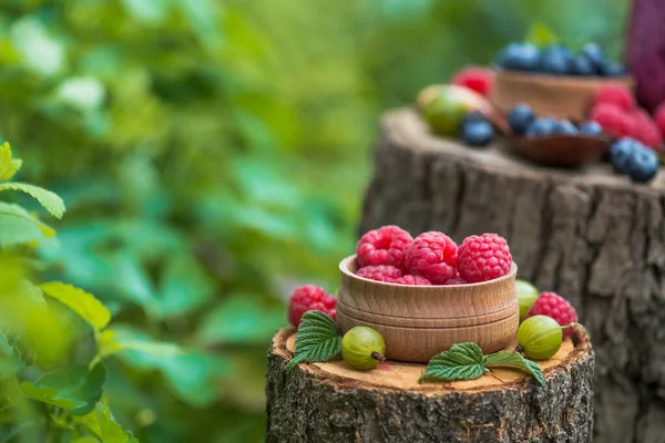 庭の切り株に森の果実グーズベリーとラズベリー 緑の背景に甘いビタミンと夏のベリー — ストック写真