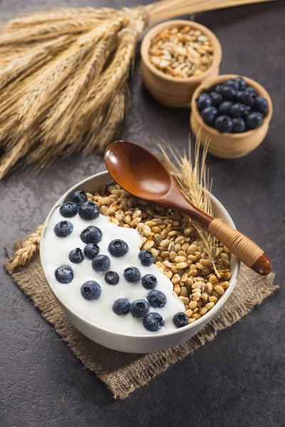 Bir kase ev yapımı gevrek yoğurt, taze yaban mersini ve arkaplanda buğday tohumu. Sağlıklı sabah kahvaltısı.
