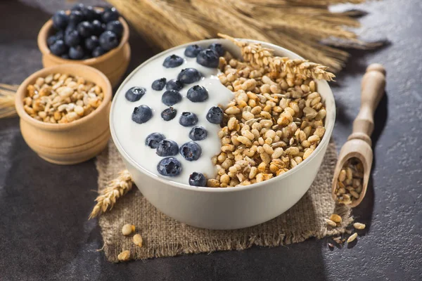 Bir kase ev yapımı gevrek yoğurt, taze yaban mersini ve arkaplanda buğday tohumu. Sağlıklı sabah kahvaltısı.