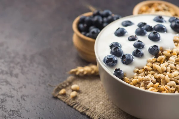 Bir kase ev yapımı gevrek yoğurt, taze yaban mersini ve arkaplanda buğday tohumu. Sağlıklı sabah kahvaltısı.