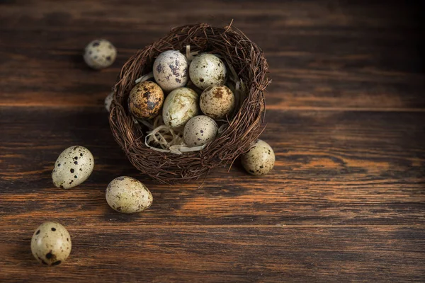 Closeup of quail eggs in nest on a wooden background.
