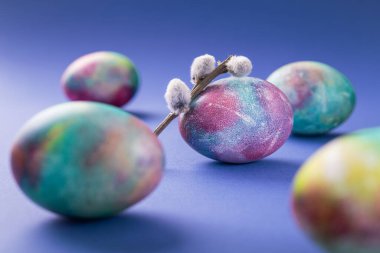 Mor renkli arka planda söğüt dalları olan paskalya yumurtaları. Asgari Paskalya tatili.