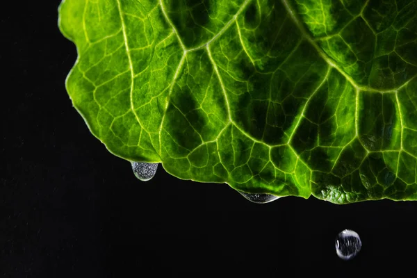 Makrofoto Eines Grünen Blattes Mit Wassertropfen Auf Schwarzem Hintergrund — Stockfoto