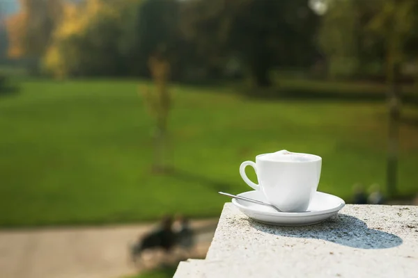 Чашка Белого Кофе Пеной Улице Зеленом Парке Солнечный День — стоковое фото