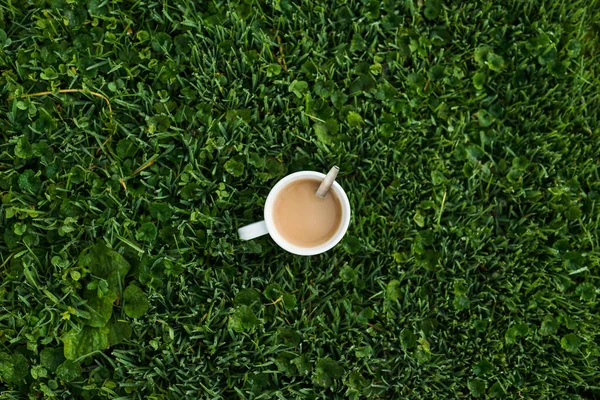 Soğuk bir sabahta sıcak bir fincan kahve, yeşil çimlerin üzerinde çiğ arkaplan, üst manzara