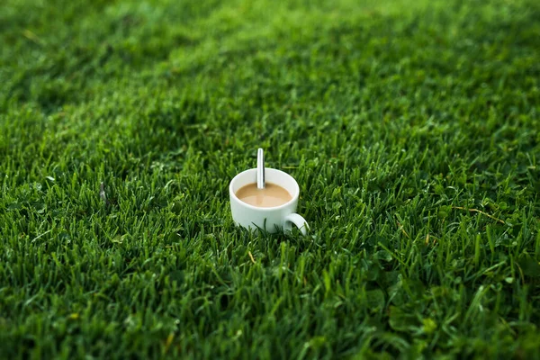 Hot Cup Coffee Cold Morning Green Grass Dew Background — Stock Photo, Image