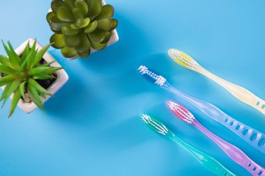 Mavi arka planda 4 yeni plastik diş fırçası seti. Aile diş bakımı.