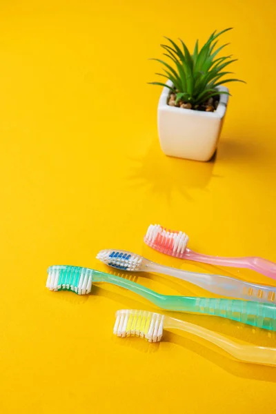 Set Four Toothbrushs Yellow Background — Stock Photo, Image