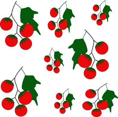domates, gıda, kırmızı, sebze