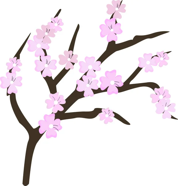 桜の花の要素 さくらピンク花 — ストックベクタ