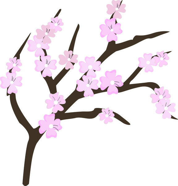 Cherry blossom flowers element. Sakura pink flowers