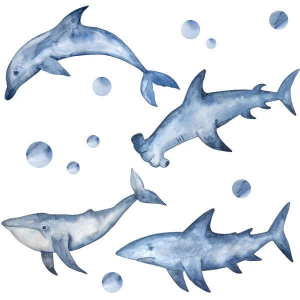 Martillo acuarela, tiburón, delfín y ballena. Habitantes submarinos pintados a mano —  Fotos de Stock