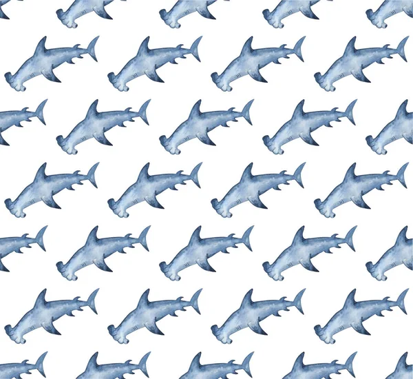 Suluboya Hammerhead köpekbalığı arka plan. Stilize mavi Çekiçkafa ile el boyalı suluboya deseni. — Stok fotoğraf