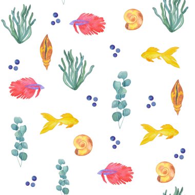 Beyaz bir arka planda deniz kabuğu ve akvaryum balığı suluboya deseni. Deniz yaşamı