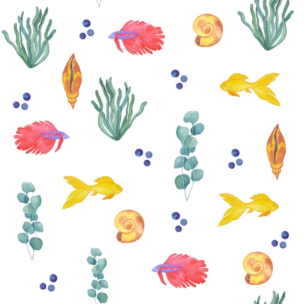 Akvarell minta a tengeri kagylókból és akváriumból hal fehér alapon. Tengeri élet — Stock Fotó