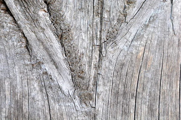 Texture Grunge Wooden Plate Background Closeup — Stock Photo, Image