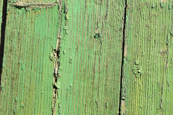 Textura de madeira verde natural com uma variedade de nós e linhas de anel . — Fotografia de Stock