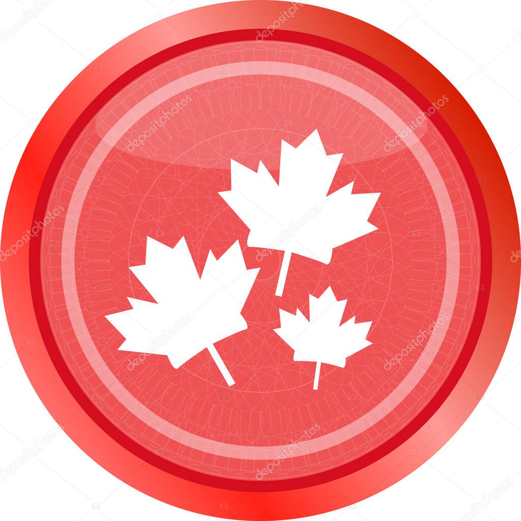 Maple leaf icon on web button . Flat sign isolated on white background. Maple leaf icon