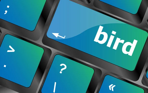 Button Keyboard Key Keypad Bird Word — Stock Photo, Image