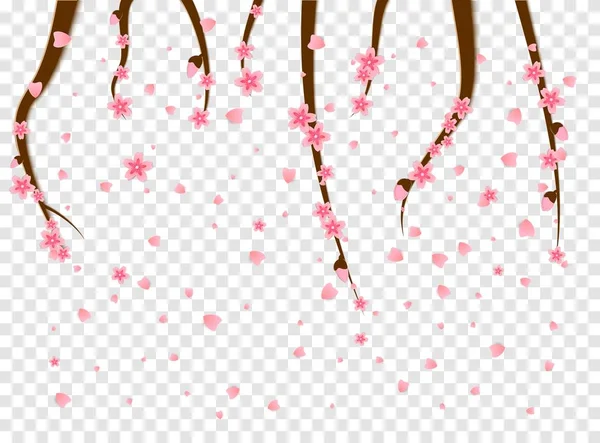 Takjes kersenboom bloemen sakura vallen spat het voorjaar jaarlijkse seizoen van japan in papier stijl knippen. Aziatische decoratie voor Mid-Autumn Festival, Chuseok, andere feestdagen. Vectorillustratie. — Stockvector