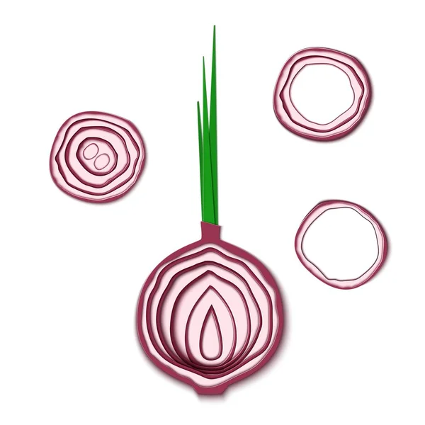 Set of paper cut red bulb onions. Vector paper cut design in the form of half slice onion for design of food packaging. Vector illustration. Paper applique art style vegitable. Origami concept