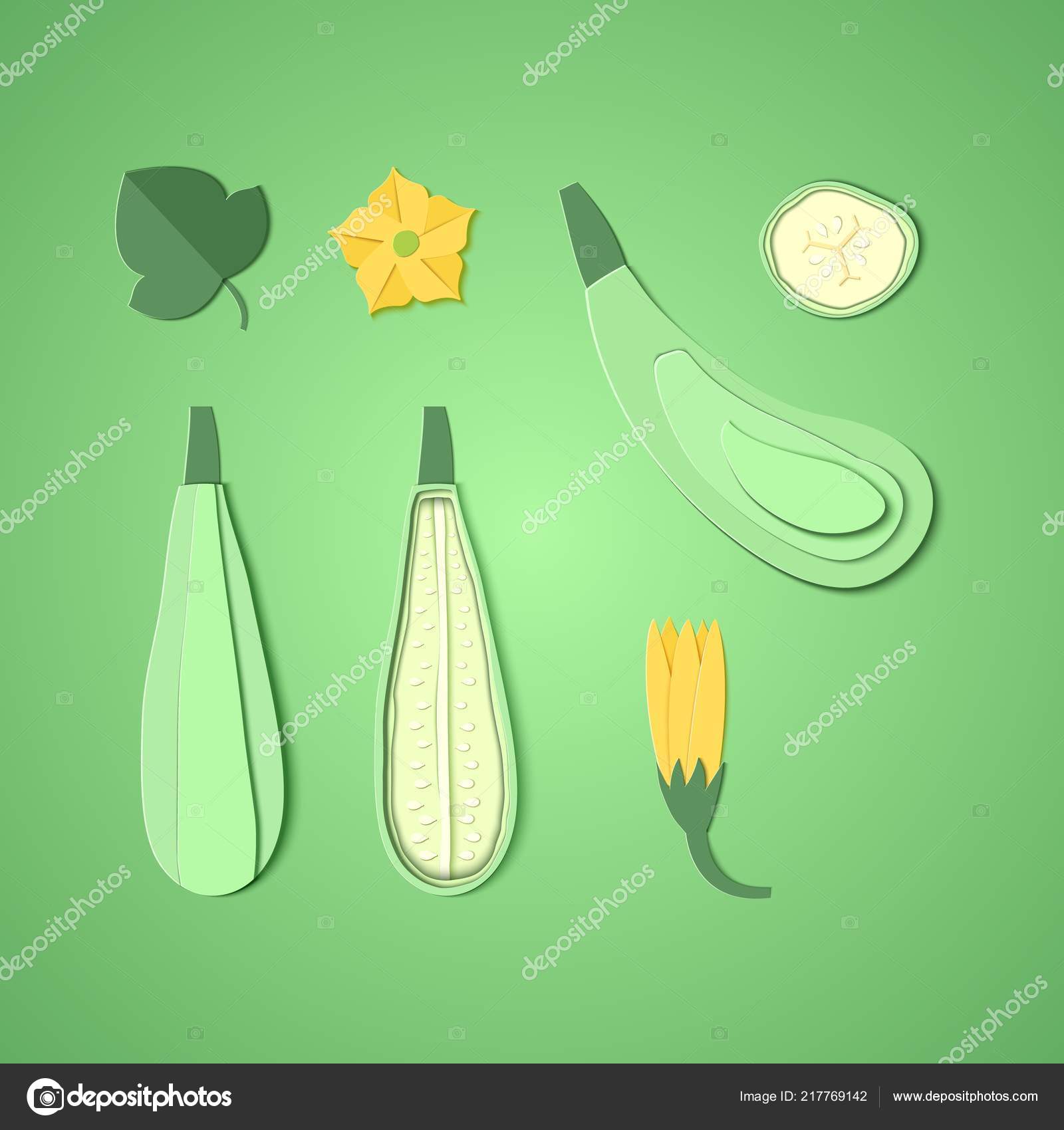 Satz Von Papier Schneiden Zucchini Origami Squash Ganze