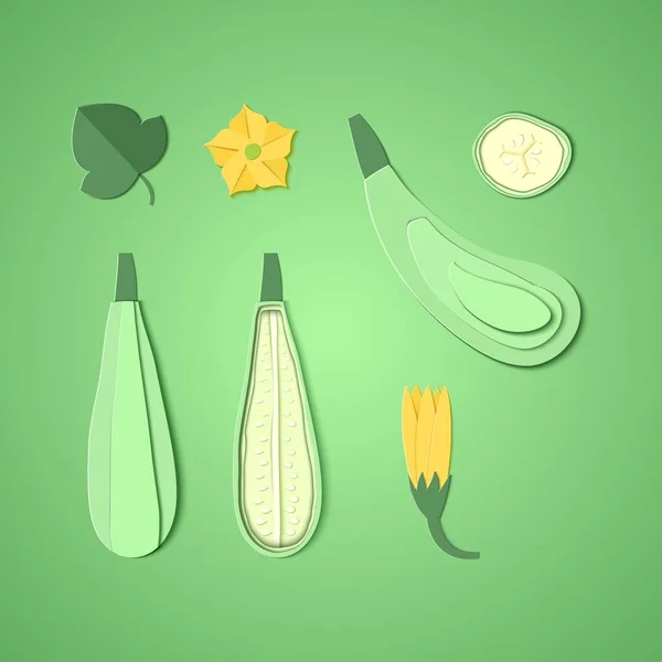 Set of paper cut zucchini. Origami squash whole, a piece, slice. Collection of vegetable marrow leaf and flower. Vector card illustration. Harvest courgette organic ingredient in paper art style. — Stock Vector