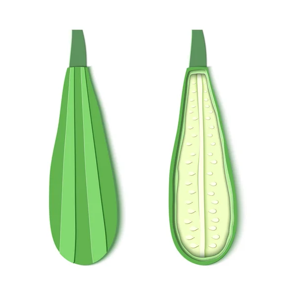 Lot de deux courgettes coupées en papier. Origami courge entière et la moitié. Collecte de moelle végétale. Illustration de carte vectorielle. Récolte courgette ingrédient biologique dans le style art du papier . — Image vectorielle