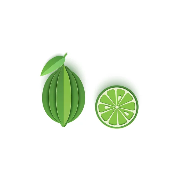 La carta è affettata con agrumi interi e a fette di lime, un design eccellente per qualsiasi scopo. Estate, dolce limone verde cibo succoso. Scheda vettoriale illustrazione 3d. Strati di carta tropicale frutta — Vettoriale Stock