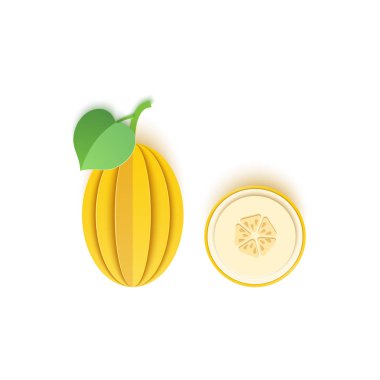 Kağıt bütün ve kesilmiş kavun berry, herhangi bir amaç için mükemmel bir tasarım ile dilimlenir. Yaz, tatlı karpuz sulu yiyecek. Vektör kartı 3d illüstrasyon. Tropikal papercraft katmanları meyve