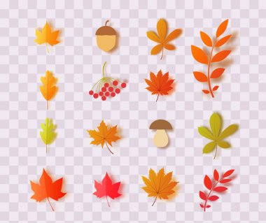 Vektör 3D orman bitkileri Akçaağaç kestanesi yaprağı.