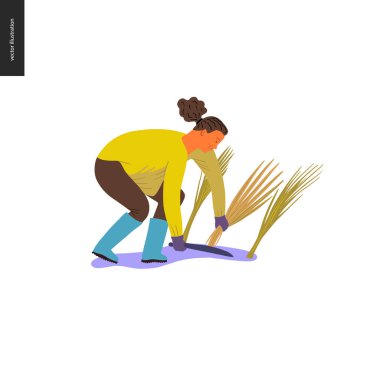 Hasat insanlar kümesi