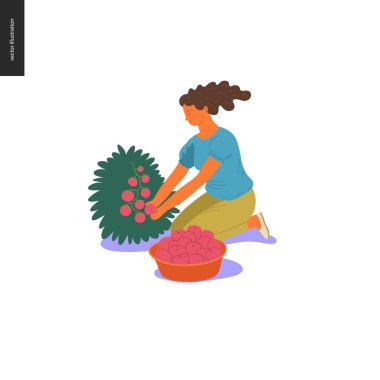 Hasat insanlar kümesi