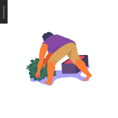 Hasat insanlar kümesi