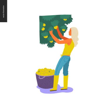 Hasat insanlar kümesi