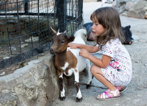 小女孩和山羊在自然 — 图库照片