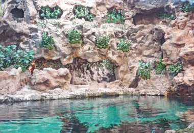 Tenerife, Santa Cruz de Tenerife, 12:25 PM bahçelerde.; 15 Mart 2014; Kanarya Adaları İspanya