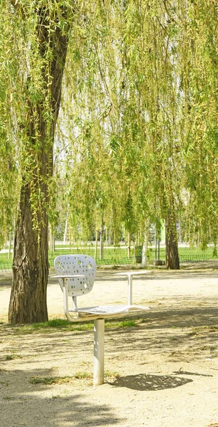 Wald Der Trauerweiden Zentrum Des Parks Von Poble Nou Uhr — Stockfoto