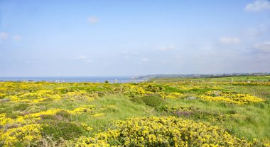 Cabo Pena; 17:45 p.m; 17 Mayıs 2015; Asturias, İspanya Prensliği