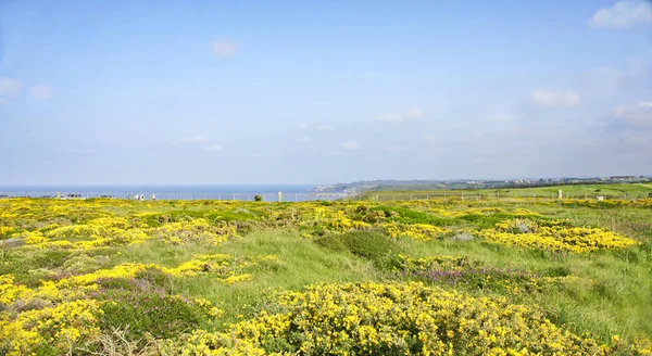 Cabo Pena; 17:45 p.m; 17 Mayıs 2015; Asturias, İspanya Prensliği