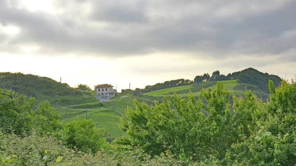 Paisaje Del Principado Asturias Mayo 2016 Principado Asturias Asturias España — Foto de Stock