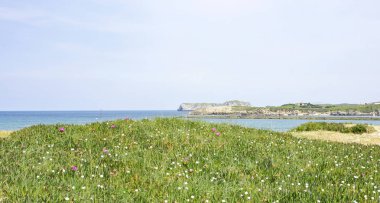 Suances, 15:20 p.m.; 16 Mayıs 2015; Cantanbria, İspanya, Europe