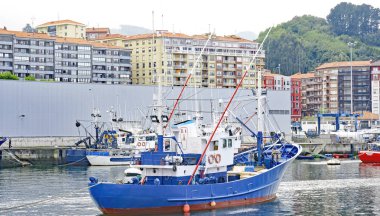 Puerto de Bermeo; 14:25 p.m .; May 16, 2016; Vizcaya, Spain