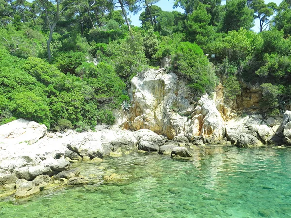 Isola Lokrum Ore Agosto 2017 Croazia Europa — Foto Stock