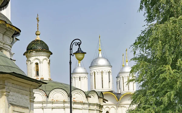 Pohled Budovy Zahrady Kremlu Moskva Rusko — Stock fotografie