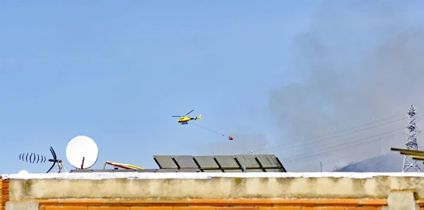 Fuego Parc Collserola Junio 2016 Barcelona Cataluña España Europa —  Fotos de Stock